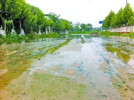 郑州儿童福利院被臭水围困 不属市政所管辖那谁管辖