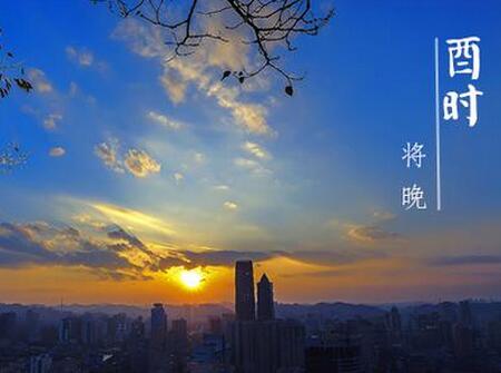 2019年酉时出生的鸡宝宝好不好1