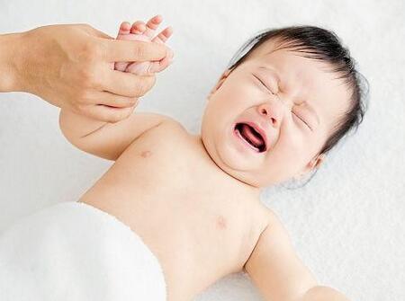 2019年卯时出生的鸡宝宝好不好2
