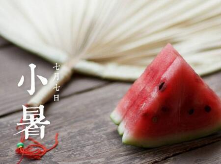 2019小暑出生的鸡宝宝好不好1