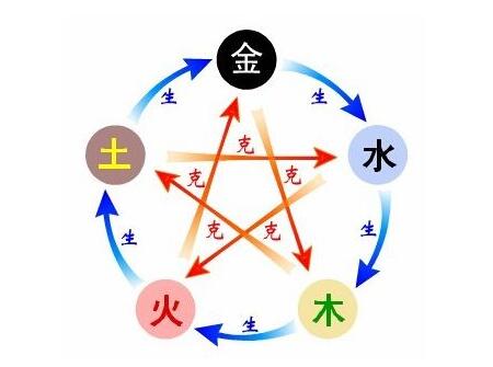 2018年清明节出生的狗宝宝好不好2
