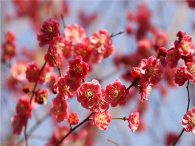 2019龙头节出生的宝宝好不好3