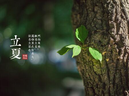 2019立夏出生的鸡宝宝好吗1