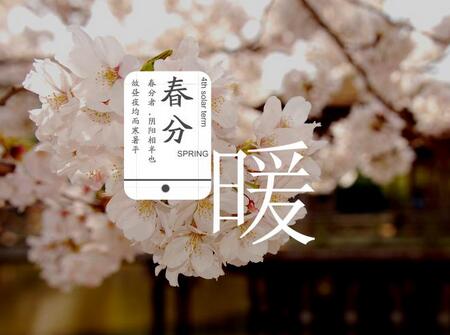 2019年春分出生的鸡宝宝好不好1