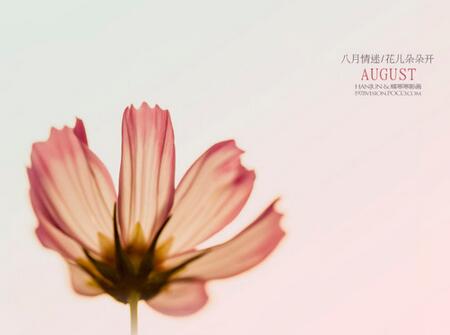 2019年八月份出生的鸡宝宝好吗1