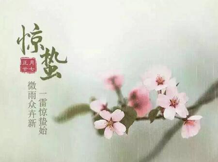 惊蛰出生的鸡宝宝好吗1