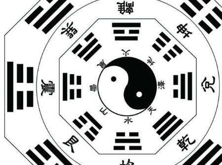 2019年12月份出生的猪宝宝好不好1