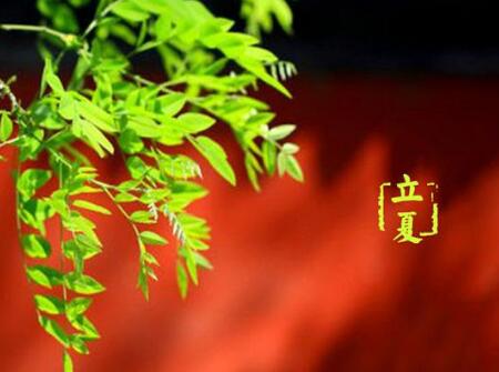 2018年立夏出生的宝宝好吗3
