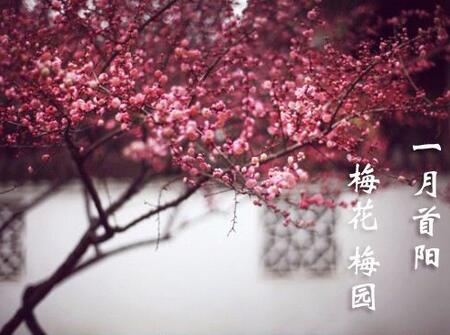 2018年狗宝宝几月出生最好2