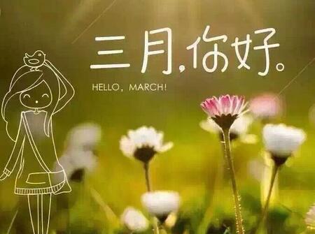 2018年狗宝宝几月出生最好3