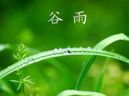 谷雨属狗出生的人好不好2