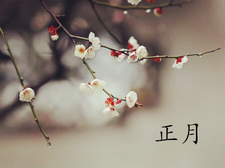 2018年大年初九出生的狗宝宝好不好1