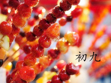 2018年大年初九出生的狗宝宝好不好2