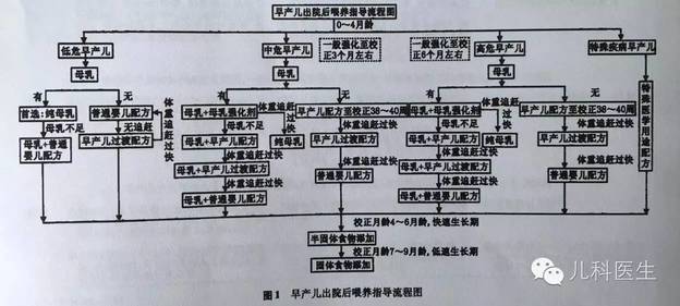 读书笔记：早产、低出生体重儿出院后喂养建议