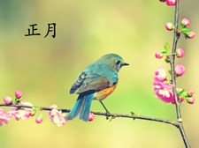 2018年大年初六出生的狗宝宝好不好1