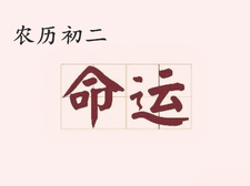 2018年大年初二出生的狗宝宝好不好2