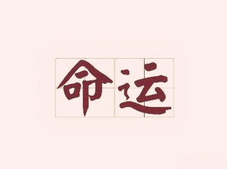 2018年大年初一出生的狗宝宝好不好2