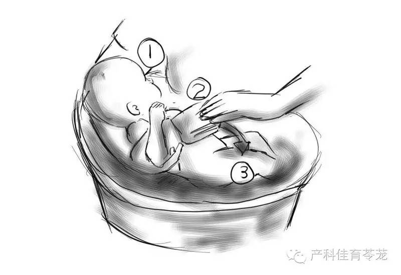 新生儿护理，有这套图差不多就够了！
