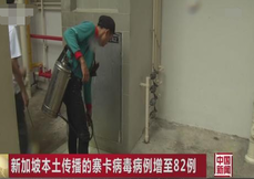 新加坡寨卡病毒