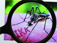 新加坡寨卡病毒