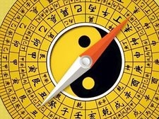 2019年11月份出生的猪宝宝好不好1