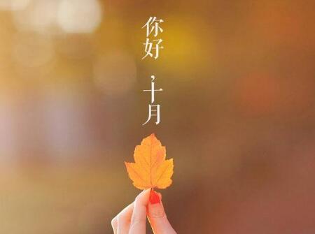 2019年秋天出生的猪宝宝好不好2