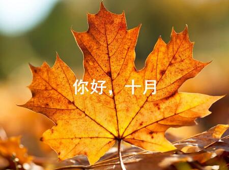 狗宝宝最忌哪个月生2