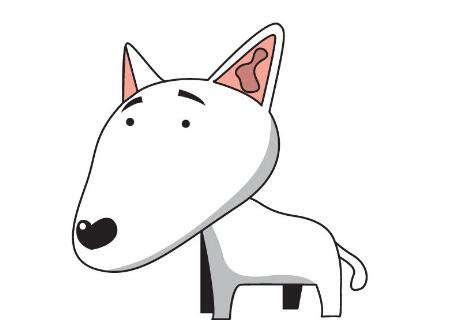 狗宝宝最忌哪个月生4