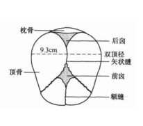 足月儿的各项指标数值是多少1