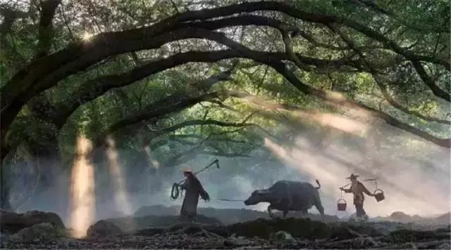 最大的教养是什么?是善待父母!