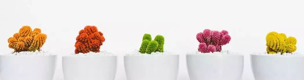 孩子艺术才能的培养,家长该重视什么?