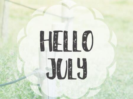 2019年夏天出生的猪宝宝好不好2
