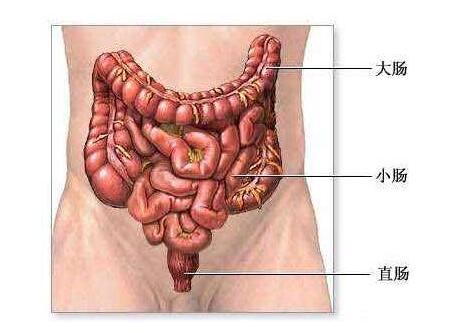 小儿继发性腹膜炎的病因3