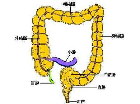 宝宝先天性巨结肠症状是什么3