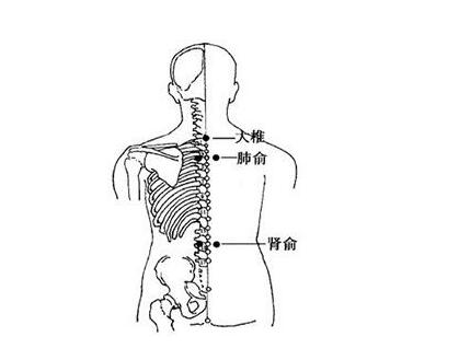 肾俞的准确位置图