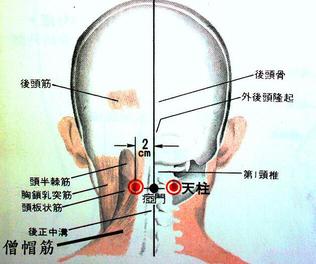 天柱的准确位置图