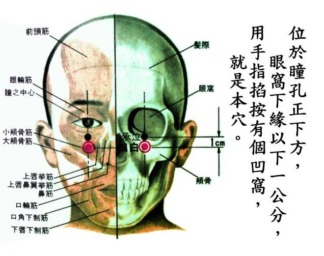 四白穴的准确位置图