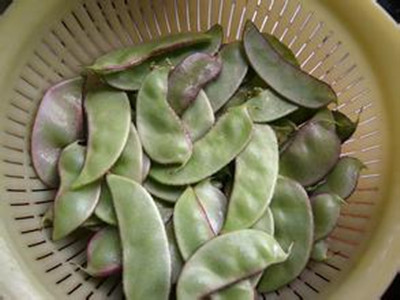 冬瓜扁豆苡米汤1
