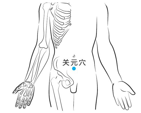 关元的准确位置图和按摩手法