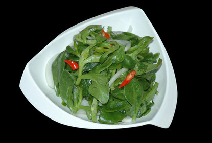 适合春季吃的野菜有哪些