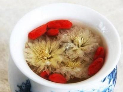 春季喝菊花与枸杞好吗