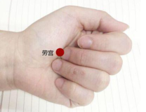 劳宫的准确位置图