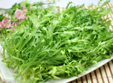 夏天吃什么青菜好