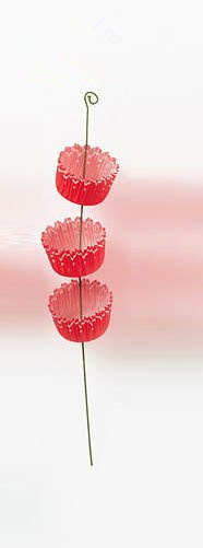 蛋糕纸立体纸花制作方法1