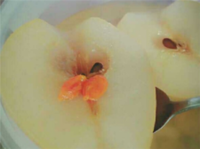 冬果梨怎么煮止咳