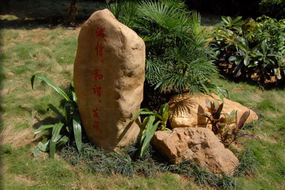 第二实验学校