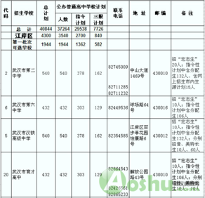 学而思,武汉高中招生,高中招生计划