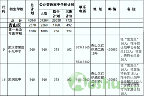 青山区招生,招生计划,重点中学