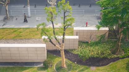 多图抢鲜看：改建后的上外附中