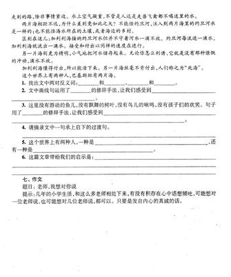 2018年上海小升初考试语文综合练习题四3